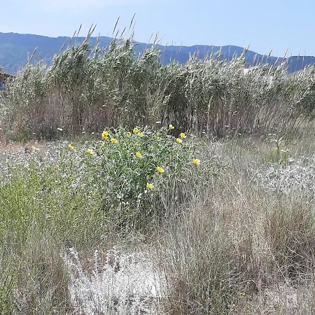 Nicole - Luminoso Apartman *