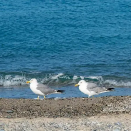 Apartman Nicole - Luminoso Isca Marina