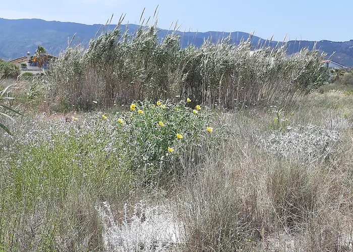 Nicole - Luminoso 公寓 *