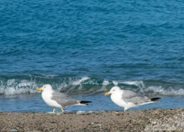 公寓 Nicole - Luminoso Isca Marina