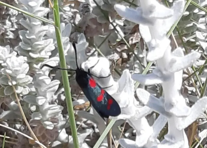 Nicole - Luminoso 公寓